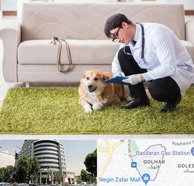 دامپزشکی در منزل در قلهک 