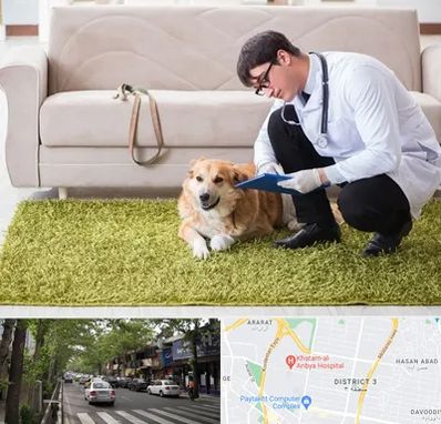 دامپزشکی در منزل در ظفر 