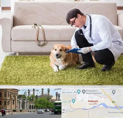 دامپزشکی در منزل در پاکدشت