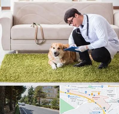 دامپزشکی در منزل در مهرویلا کرج