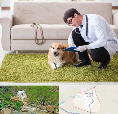 دامپزشکی در منزل در کردان