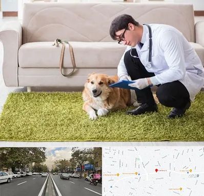 دامپزشکی در منزل در دولت 