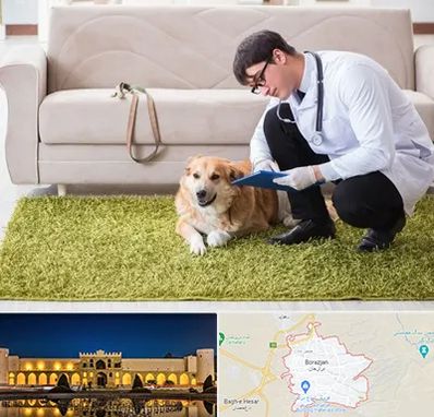 دامپزشکی در منزل در برازجان