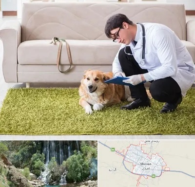 دامپزشکی در منزل در شیروان