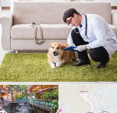 دامپزشکی در منزل در درکه