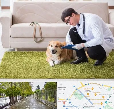 دامپزشکی در منزل در خیابان ارم شیراز