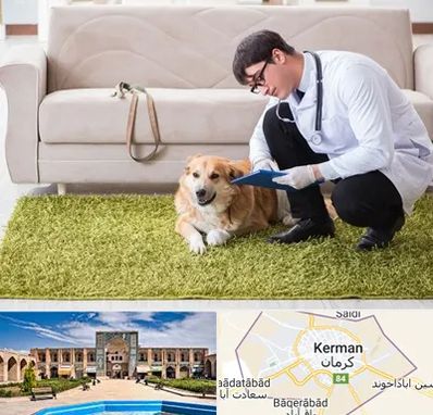 دامپزشکی در منزل در کرمان