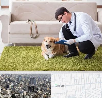 دامپزشکی در منزل در جیحون