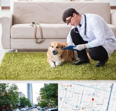 دامپزشکی در منزل در امامت مشهد