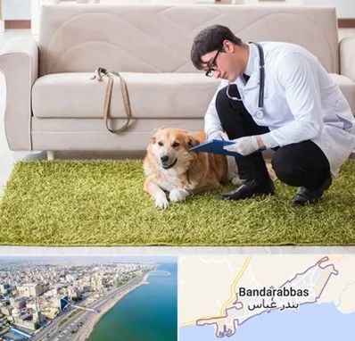 دامپزشکی در منزل در بندرعباس