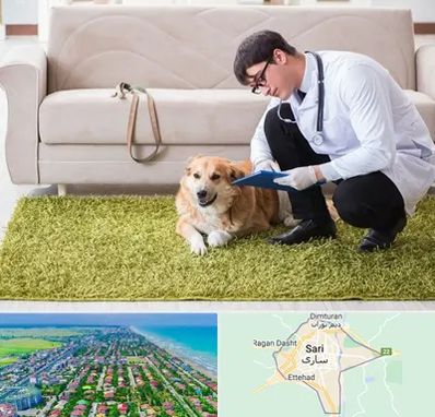 دامپزشکی در منزل در ساری
