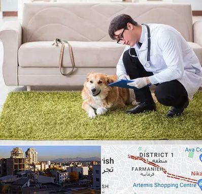 دامپزشکی در منزل در فرمانیه 