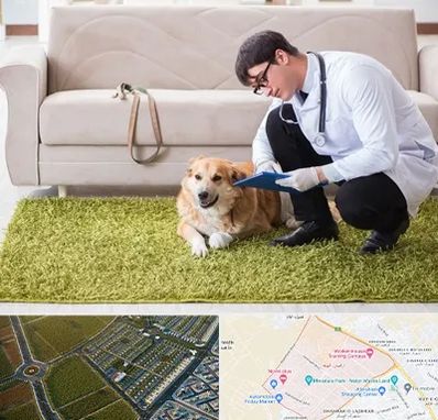 دامپزشکی در منزل در الهیه مشهد