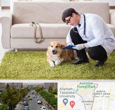 دامپزشکی در منزل در شهران 