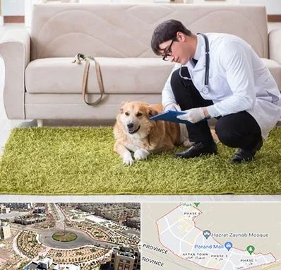 دامپزشکی در منزل در پرند