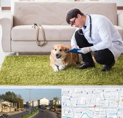 دامپزشکی در منزل در ضیابری رشت