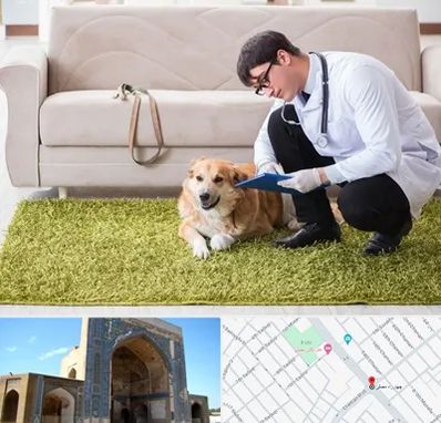 دامپزشکی در منزل در مصلی مشهد