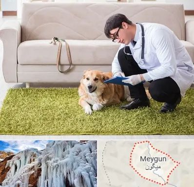 دامپزشکی در منزل در میگون