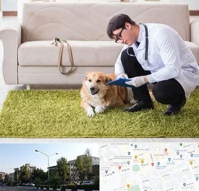 دامپزشکی در منزل در میدان کاج 