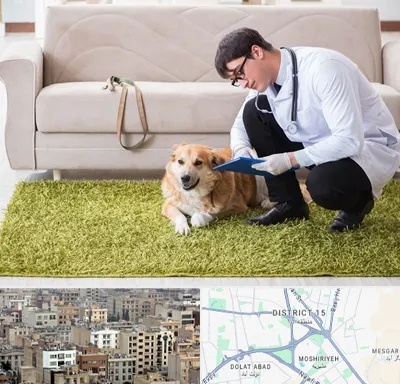 دامپزشکی در منزل در جنوب شرق تهران
