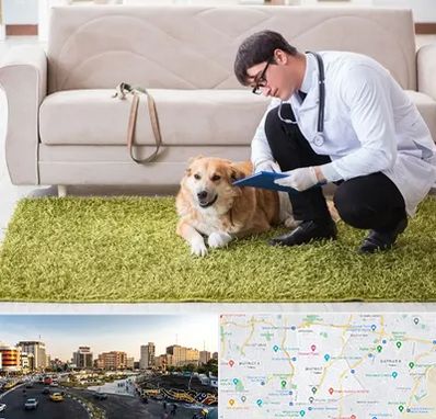 دامپزشکی در منزل در منطقه 7 تهران 