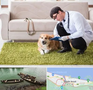 دامپزشکی در منزل در بندر انزلی