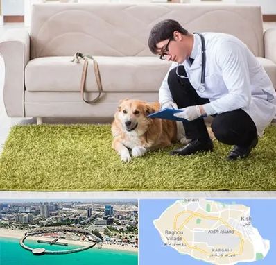 دامپزشکی در منزل در کیش