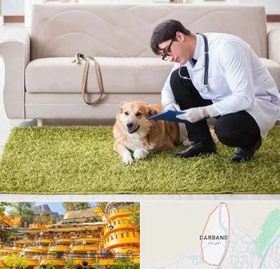 دامپزشکی در منزل در دربند