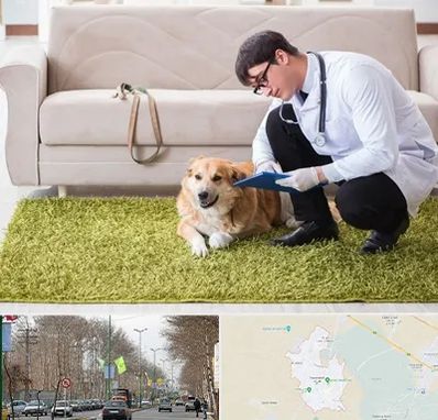 دامپزشکی در منزل در نظرآباد کرج 