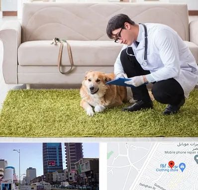 دامپزشکی در منزل در چهارراه طالقانی کرج