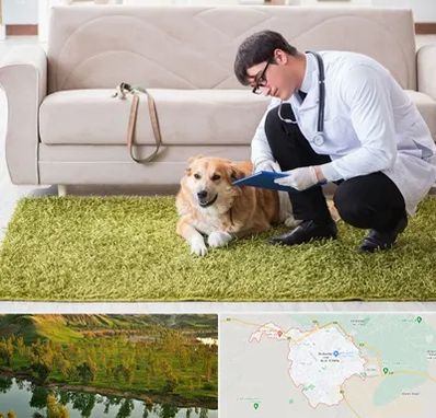 دامپزشکی در منزل در بهبهان