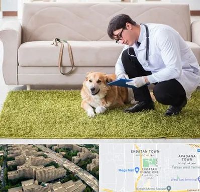دامپزشکی در منزل در اکباتان 