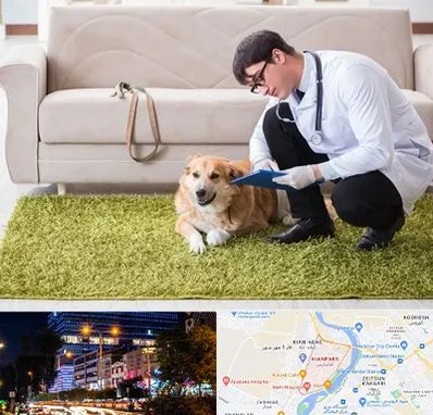 دامپزشکی در منزل در کیانپارس اهواز