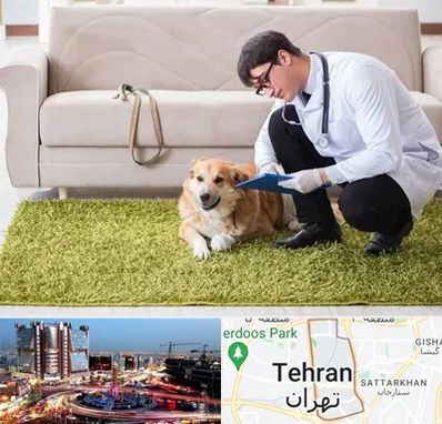 دامپزشکی در منزل در صادقیه 