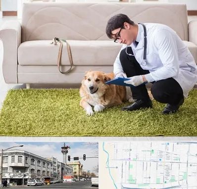 دامپزشکی در منزل در 17شهریور