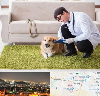 دامپزشکی در منزل در مارلیک کرج