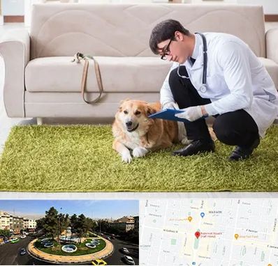 دامپزشکی در منزل در هفت حوض 