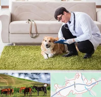 دامپزشکی در منزل در تالش