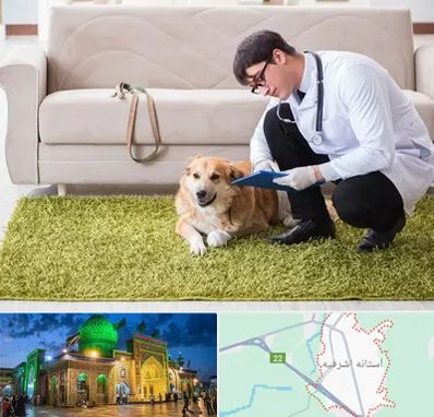 دامپزشکی در منزل در آستانه اشرفیه