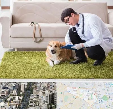 دامپزشکی در منزل در منطقه 18 تهران 