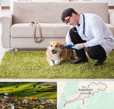 دامپزشکی در منزل در کلاردشت