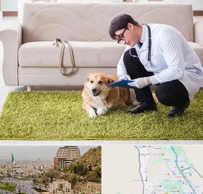 دامپزشکی در منزل در فرهنگ شهر شیراز