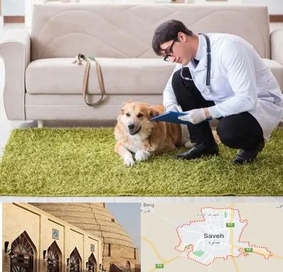دامپزشکی در منزل در ساوه