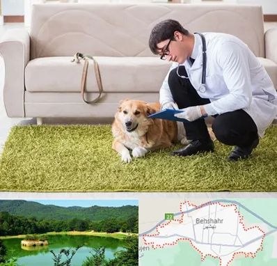 دامپزشکی در منزل در بهشهر