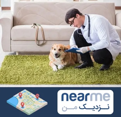 دامپزشکی در منزل در نزدیک من