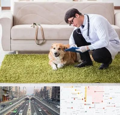 دامپزشکی در منزل در توحید 