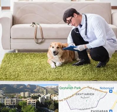 دامپزشکی در منزل در اختیاریه 