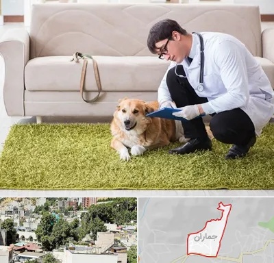 دامپزشکی در منزل در جماران