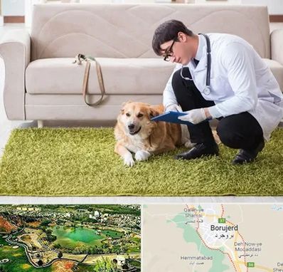 دامپزشکی در منزل در بروجرد