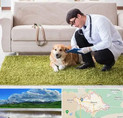 دامپزشکی در منزل در مرند